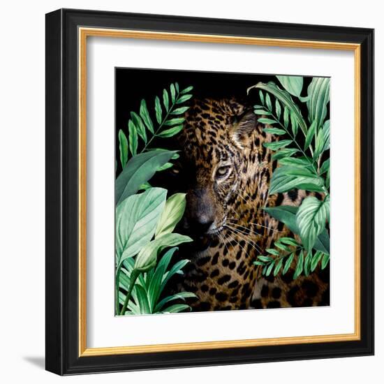 Jungle Leopard-Kimberly Allen-Framed Art Print