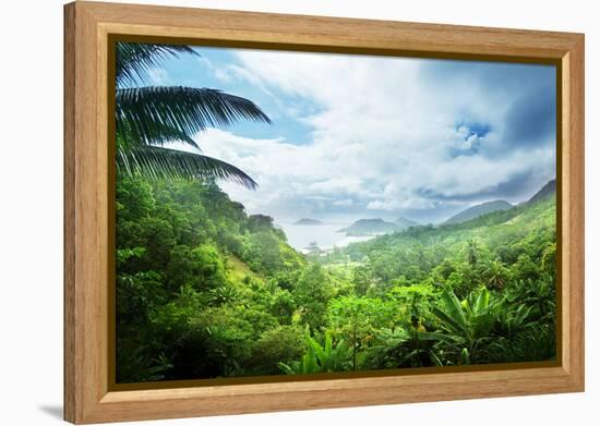 Jungle of Seychelles Island-Iakov Kalinin-Framed Premier Image Canvas