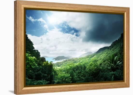 Jungle of Seychelles Island-Iakov Kalinin-Framed Premier Image Canvas