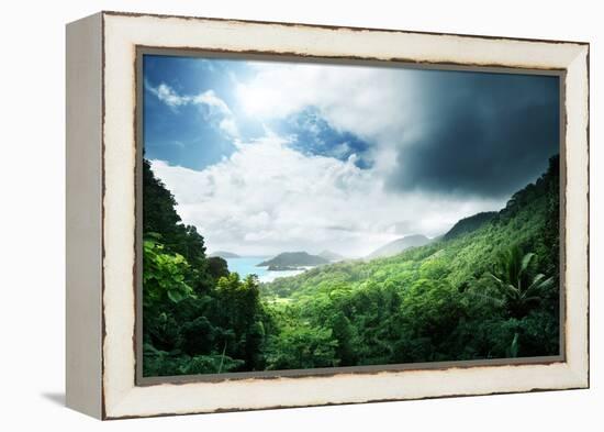 Jungle of Seychelles Island-Iakov Kalinin-Framed Premier Image Canvas