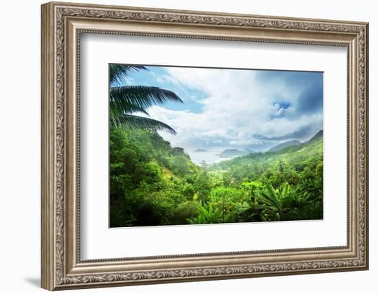 Jungle of Seychelles Island-Iakov Kalinin-Framed Photographic Print