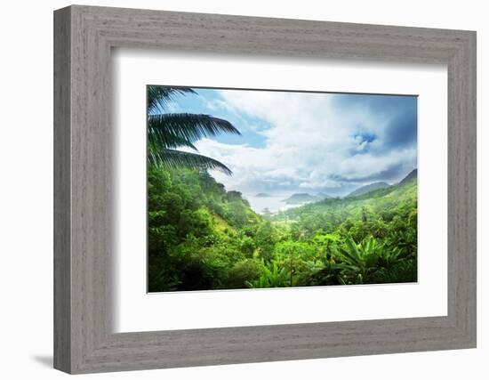 Jungle of Seychelles Island-Iakov Kalinin-Framed Photographic Print