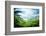 Jungle of Seychelles Island-Iakov Kalinin-Framed Photographic Print