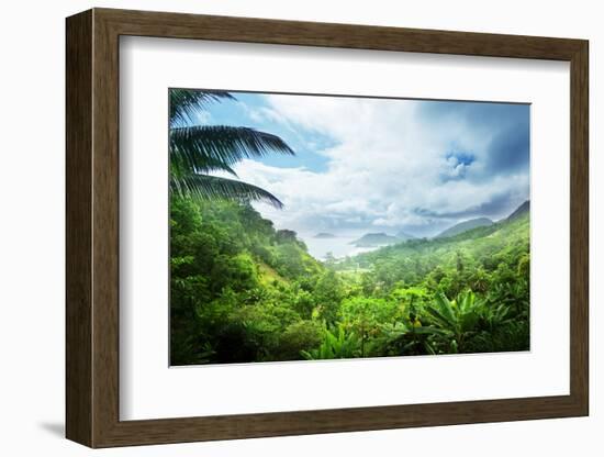 Jungle of Seychelles Island-Iakov Kalinin-Framed Photographic Print