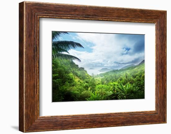 Jungle of Seychelles Island-Iakov Kalinin-Framed Photographic Print