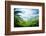 Jungle of Seychelles Island-Iakov Kalinin-Framed Photographic Print