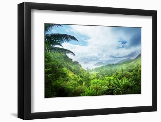 Jungle of Seychelles Island-Iakov Kalinin-Framed Photographic Print