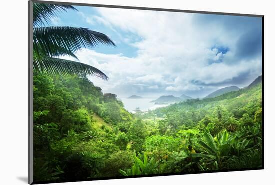 Jungle of Seychelles Island-Iakov Kalinin-Mounted Photographic Print