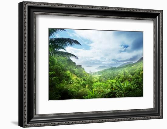 Jungle of Seychelles Island-Iakov Kalinin-Framed Photographic Print