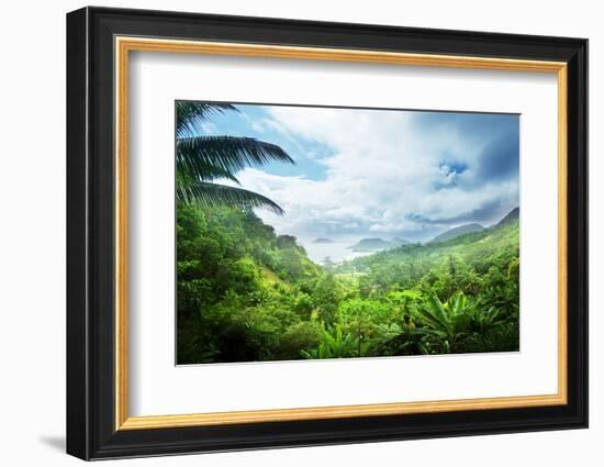 Jungle of Seychelles Island-Iakov Kalinin-Framed Photographic Print