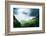 Jungle of Seychelles Island-Iakov Kalinin-Framed Photographic Print