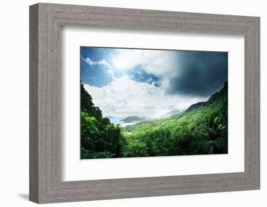 Jungle of Seychelles Island-Iakov Kalinin-Framed Photographic Print