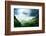 Jungle of Seychelles Island-Iakov Kalinin-Framed Photographic Print