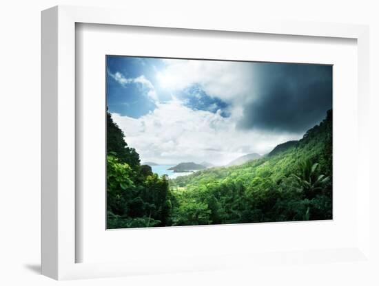 Jungle of Seychelles Island-Iakov Kalinin-Framed Photographic Print