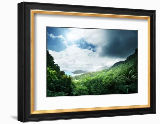 Jungle of Seychelles Island-Iakov Kalinin-Framed Photographic Print