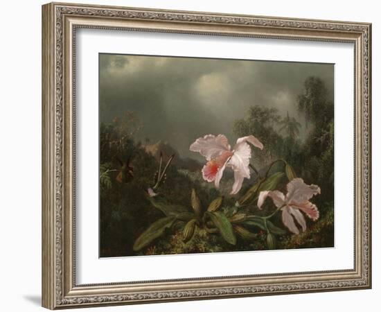 Jungle Orchids and Hummingbirds, 1872-Martin Johnson Heade-Framed Giclee Print