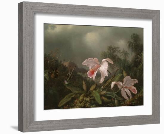 Jungle Orchids and Hummingbirds, 1872-Martin Johnson Heade-Framed Giclee Print