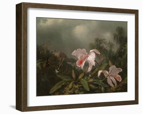 Jungle Orchids and Hummingbirds, 1872-Martin Johnson Heade-Framed Giclee Print