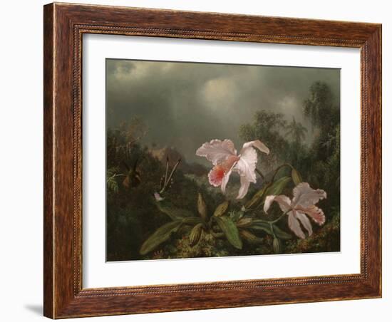 Jungle Orchids and Hummingbirds, 1872-Martin Johnson Heade-Framed Giclee Print