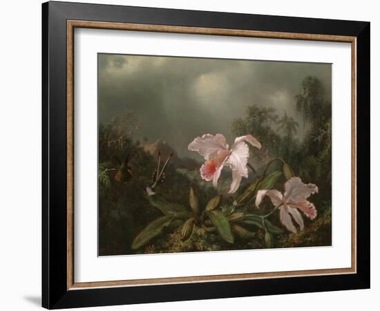 Jungle Orchids and Hummingbirds, 1872-Martin Johnson Heade-Framed Giclee Print