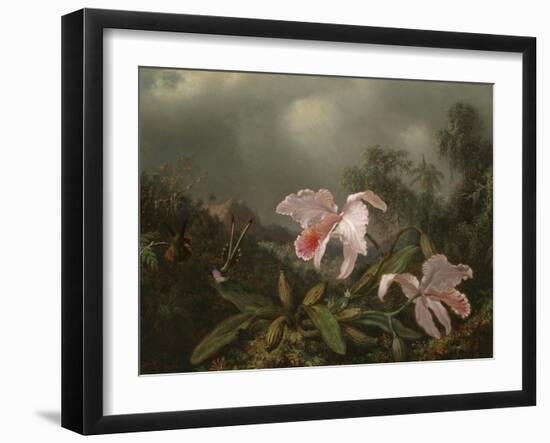 Jungle Orchids and Hummingbirds, 1872-Martin Johnson Heade-Framed Giclee Print