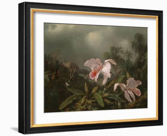 Jungle Orchids and Hummingbirds, 1872-Martin Johnson Heade-Framed Giclee Print