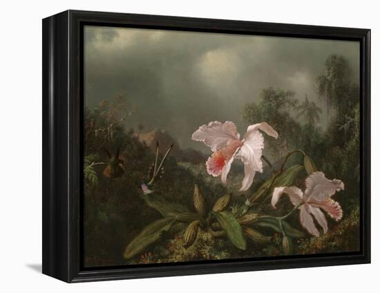Jungle Orchids and Hummingbirds, 1872-Martin Johnson Heade-Framed Premier Image Canvas