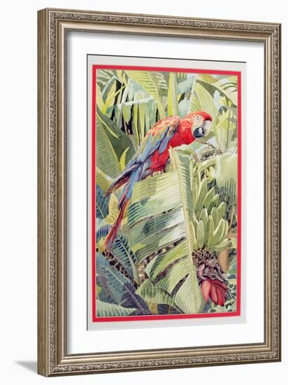 Jungle Parrot-Felicity House-Framed Giclee Print