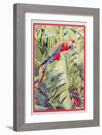 Jungle Parrot-Felicity House-Framed Giclee Print