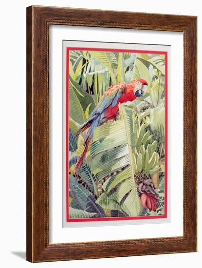 Jungle Parrot-Felicity House-Framed Giclee Print