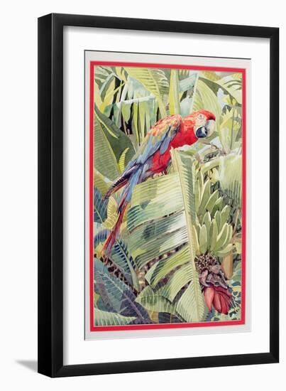 Jungle Parrot-Felicity House-Framed Giclee Print