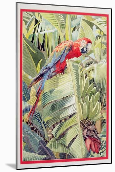 Jungle Parrot-Felicity House-Mounted Giclee Print