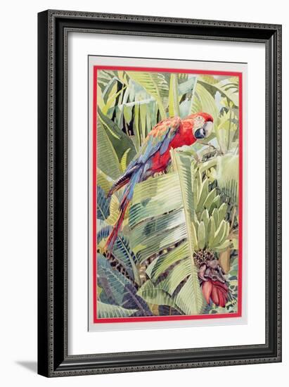 Jungle Parrot-Felicity House-Framed Giclee Print