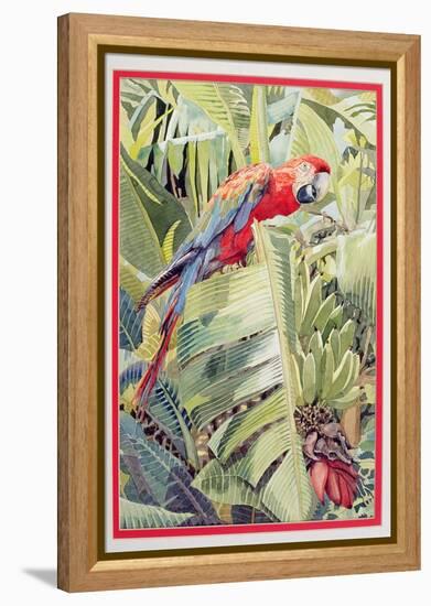 Jungle Parrot-Felicity House-Framed Premier Image Canvas