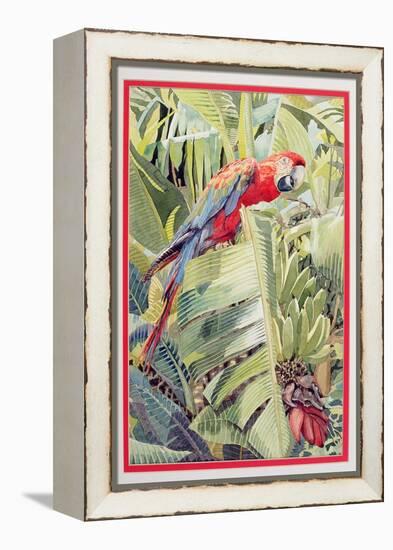 Jungle Parrot-Felicity House-Framed Premier Image Canvas