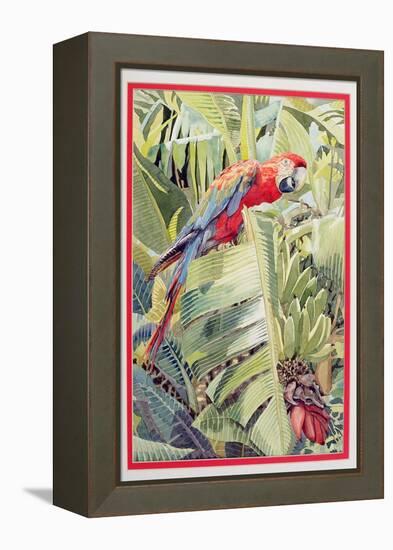 Jungle Parrot-Felicity House-Framed Premier Image Canvas