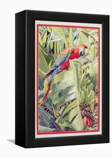 Jungle Parrot-Felicity House-Framed Premier Image Canvas