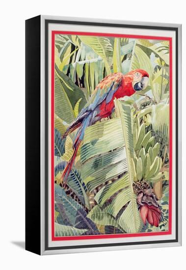 Jungle Parrot-Felicity House-Framed Premier Image Canvas