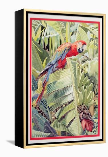 Jungle Parrot-Felicity House-Framed Premier Image Canvas