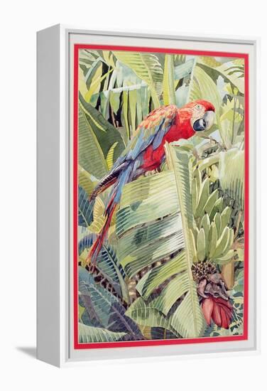 Jungle Parrot-Felicity House-Framed Premier Image Canvas