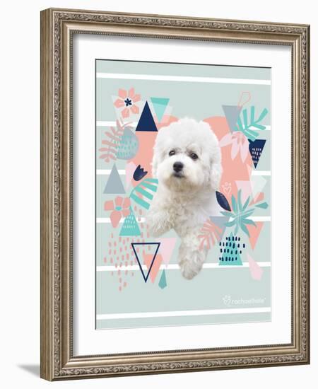 Jungle Puppy-Rachael Hale-Framed Photo