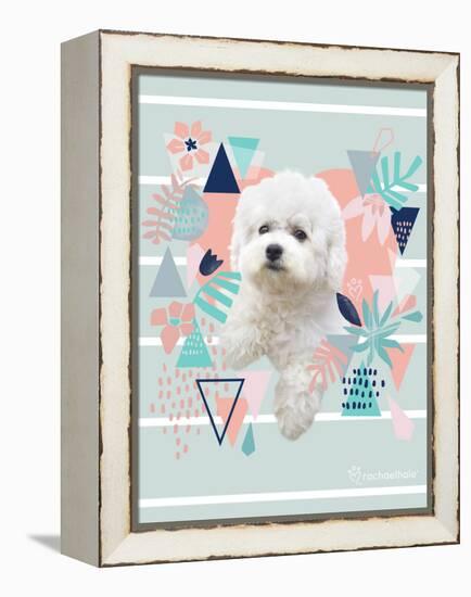 Jungle Puppy-Rachael Hale-Framed Stretched Canvas