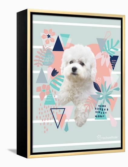 Jungle Puppy-Rachael Hale-Framed Stretched Canvas