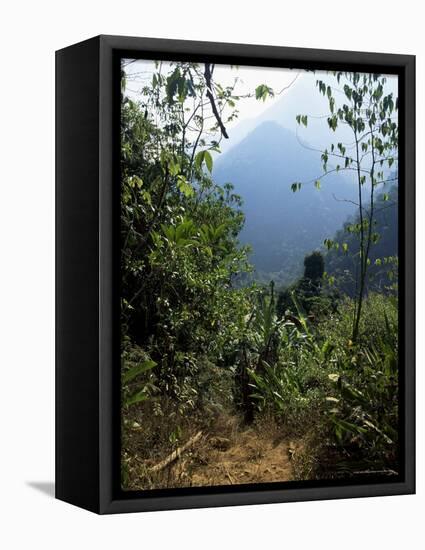 Jungle, Sierra Nevada, Colombia, South America-Jane O'callaghan-Framed Premier Image Canvas