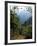 Jungle, Sierra Nevada, Colombia, South America-Jane O'callaghan-Framed Photographic Print