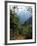 Jungle, Sierra Nevada, Colombia, South America-Jane O'callaghan-Framed Photographic Print