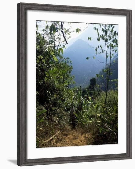 Jungle, Sierra Nevada, Colombia, South America-Jane O'callaghan-Framed Photographic Print