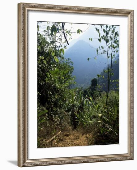 Jungle, Sierra Nevada, Colombia, South America-Jane O'callaghan-Framed Photographic Print