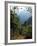 Jungle, Sierra Nevada, Colombia, South America-Jane O'callaghan-Framed Photographic Print