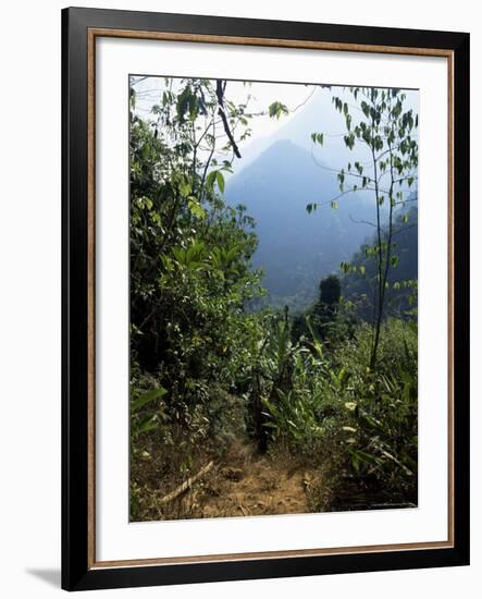 Jungle, Sierra Nevada, Colombia, South America-Jane O'callaghan-Framed Photographic Print